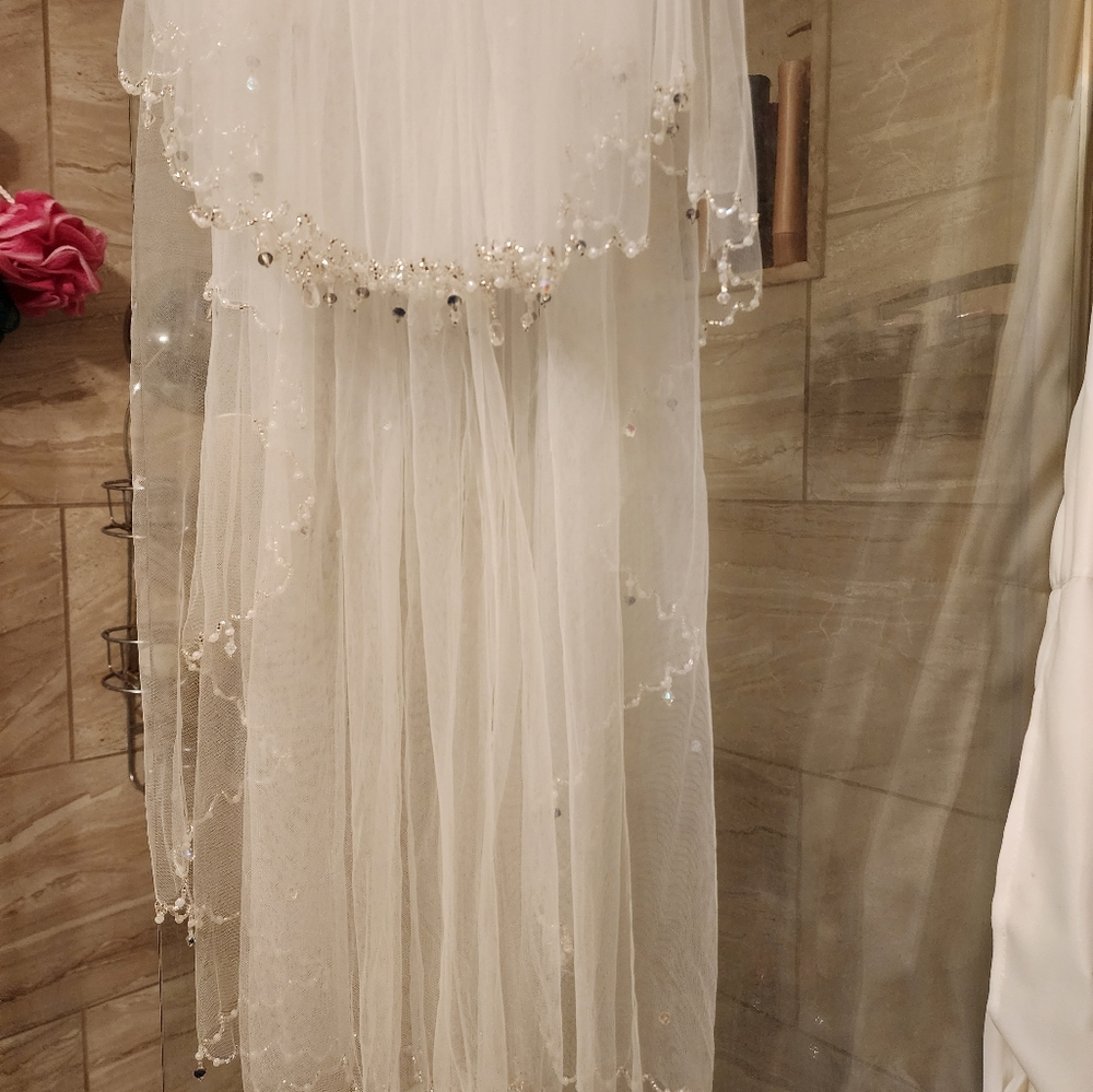 Veil - Picture 5 of 5
